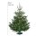 KRINNER Tree Genie L